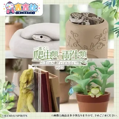 《爬蟲類與兩棲類》～Tiny Friends～vol.3