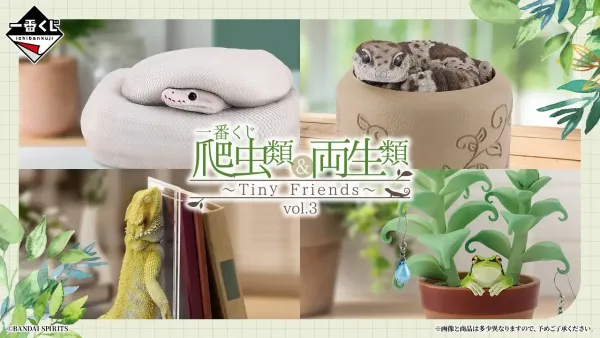 爬蟲類&兩棲類～Tiny Friends～vol.3